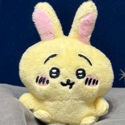 みょん¨̮⑅(群)さんのプロフィール画像