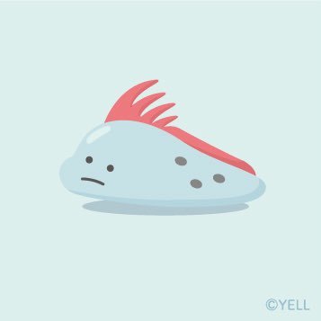 のえさんのプロフィール画像