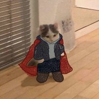 Strange (@strangethe_goat) 's Twitter Profile
