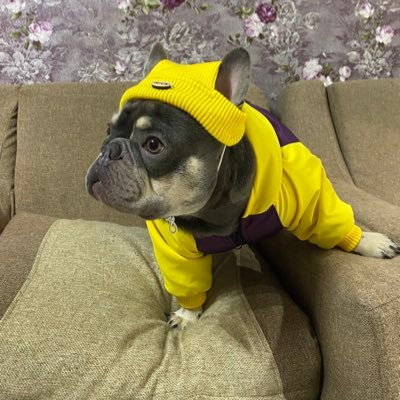 Galan45V's profile picture.