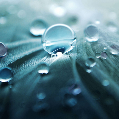 butharaju_88325's profile picture. 