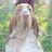 Ravenspoint's profile image