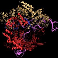 CRISPR AI (@crisprai) Twitter profile photo