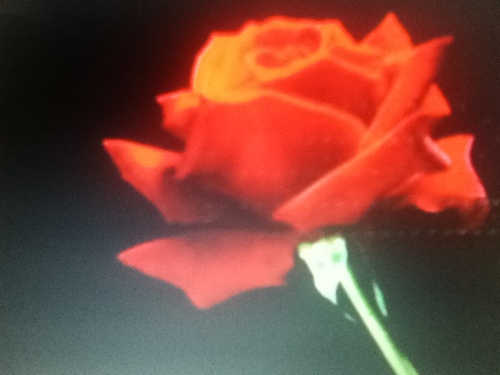 marie69257331's profile picture. Imagine you can't work for years due to a terrible sickness  & Dr's  can't find a diagnosis well that's my story ? Please don't take your health for granted.