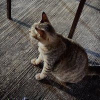 ka.ee (@kaee189) 's Twitter Profile