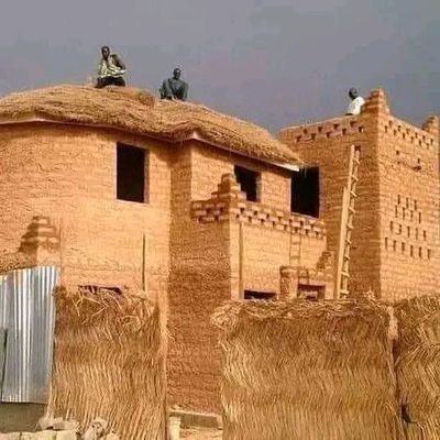 ummiMuh76893316's profile picture. sarauniyar noma