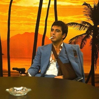 kafka0221's profile picture. stock&option