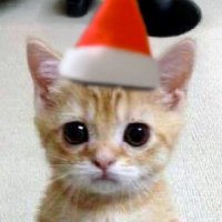 海音 (@quarter00000) 's Twitter Profile Photo