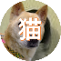 ⌒(｡･.･｡)⌒さんのプロフィール画像
