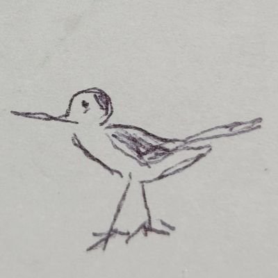 ランニングバードさんのプロフィール画像
