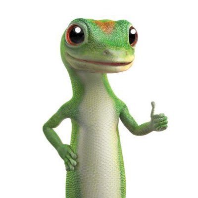 dubiousdolphin's profile picture. 