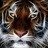 paulhedz62's profile image