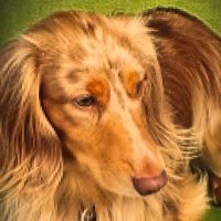 #EliFriends 👉Robert👈 (@robertpage68) 's Twitter Profile Photo #EliFriends 👉Robert👈 (@robertpage68) 's Twitter Profile Photo