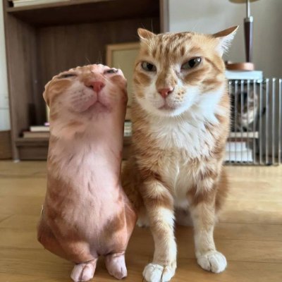 pire_xto's profile picture. humano huevo (человек яйца)