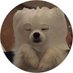 X.catiku (@catikux) Twitter profile photo X.catiku (@catikux) Twitter profile photo