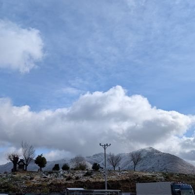 ron_mog's profile picture.