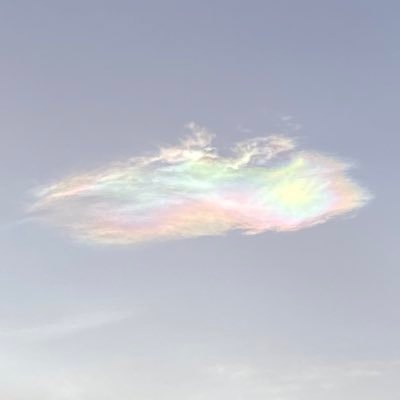 Sawl_OW's profile picture. 22yo | 🇫🇷 Overwatch tank player