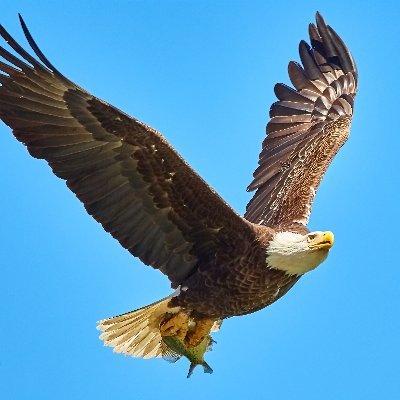 duyadw's profile picture. 