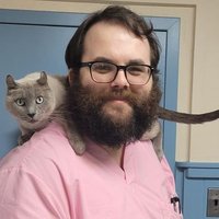 Sean (@berr1e5ncrem3) 's Twitter Profile