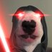 DegenTheWalter (@fjrewcrryuoo) Twitter profile photo DegenTheWalter (@fjrewcrryuoo) Twitter profile photo