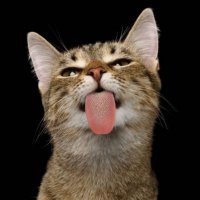 Reiterin20 (@reiterin20) 's Twitter Profile Photo