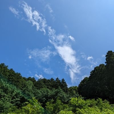 injYxH5oCA88451's profile picture. 剣術や日本刀といった物が好きな人です。最近はVTuberのあおぎり高校に所属している萌実さんを推してます