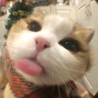 Amir (@wrs_amir) 's Twitter Profile Photo Amir (@wrs_amir) 's Twitter Profile Photo