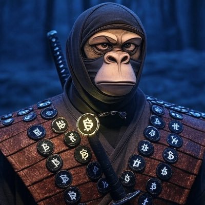 itzseedorf's profile picture. 🥷 || living on chain || ⏳