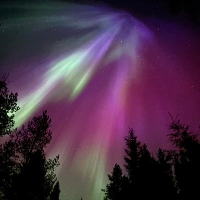 Lassukkaaa's profile picture. 