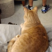 Tonya Bement (@bementtony31308) 's Twitter Profile