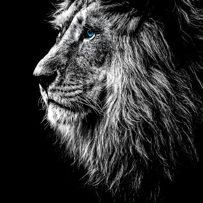 aksoysahin386's profile picture. 