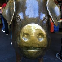 Rachel T. Piggybank (@rachelthepig) 's Twitter Profile