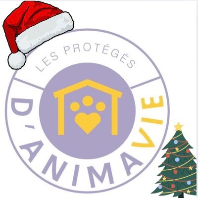 🐾Association de protection animale dans le 17, 🐾Animavieassociation@gmail.com