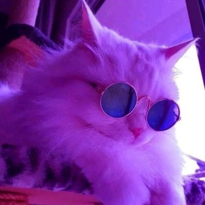 ItsSeiun's profile picture. In the pursuit of great, we failed to do good.