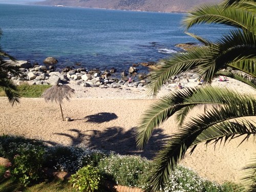 ferbezma's profile picture. 