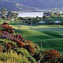 hayden_fun09's profile picture. 🌸 Blossom lover | 🍀 Lucky charm | 🍂 Nature's beauty seeker