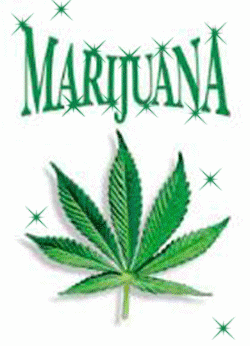 Sem a planta, sem a planta não dá mais pra viver em paz
Com a planta, com a planta eu to na paz _\|/_