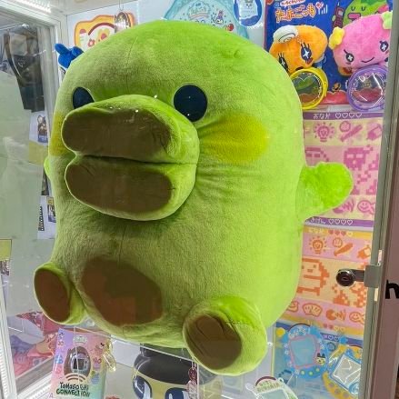 oeoeoeo_O's profile picture. ⌯' ▾ '⌯