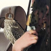 . (@3liit_) 's Twitter Profile