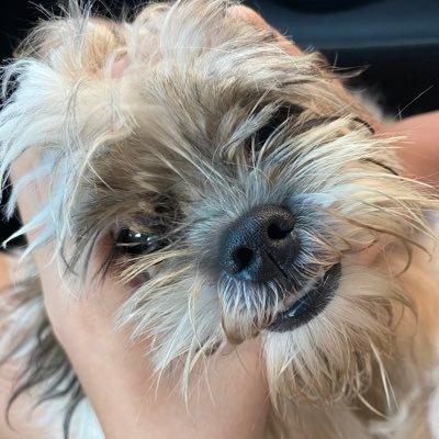 rizcommissionss's profile picture. she/her, 19. UPD BS IE 👾 DOST SEI Merit Scholar 🤖 DM for write-ups!