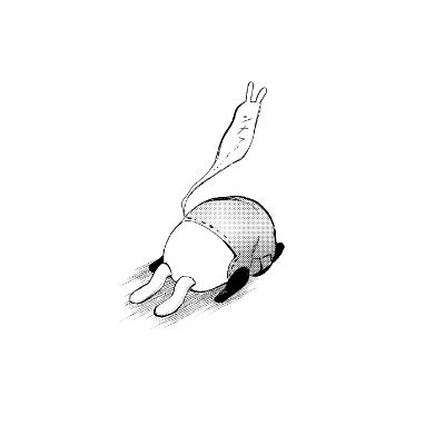 seki (@_sekidesu) / X