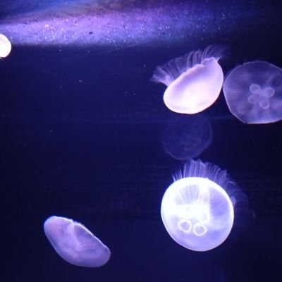 なみはさんのプロフィール画像