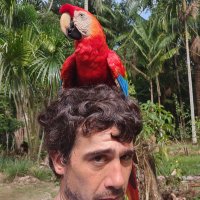 The Otorongo🇺🇸 🇵🇪🐆🌳🌊🐍🎣🐸🦅 (@otorongolodge) 's Twitter Profile Photo The Otorongo🇺🇸 🇵🇪🐆🌳🌊🐍🎣🐸🦅 (@otorongolodge) 's Twitter Profile Photo