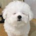 다란 (@_ddaran) Twitter profile photo 다란 (@_ddaran) Twitter profile photo