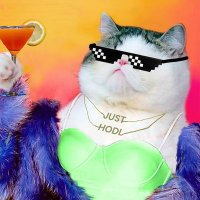 JUICEE (@juicee_cat) 's Twitter Profile