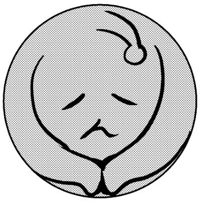 MumeiMomen's profile picture. これは随分辛口だ！