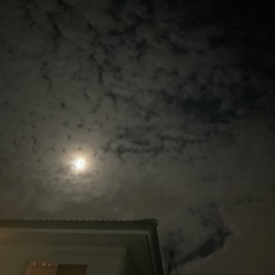 mydog_socute's profile picture. Everyday is a fresh start.