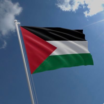Alhamdulilah for my religion and there is no except Allah and MUHAMMED (https://t.co/cr76zWrUxe) is the messenger of Allah🕋☝🏻🕌📿#freepalestine🇵🇸