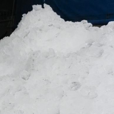 DenDen1081850's profile picture. 