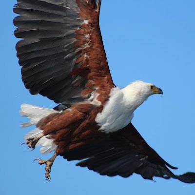 maretha90277's profile picture. 